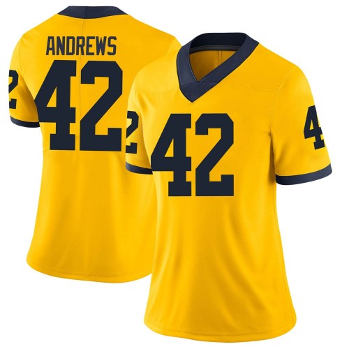 Trevor Andrews Michigan Wolverines Women's NCAA #42 Maize Limited Brand Jordan College Stitched Football Jersey QRO4654FG